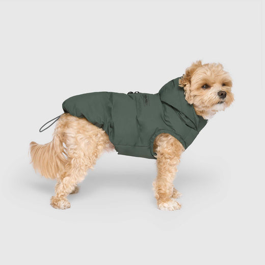 Canada Pooch Waterproof Puffer - Green