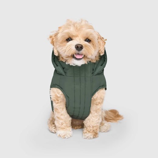 Canada Pooch Waterproof Puffer - Green