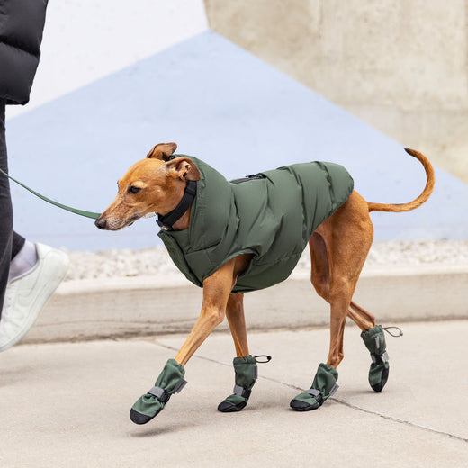 Canada Pooch Waterproof Puffer - Green