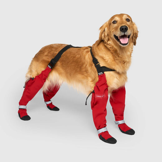 Canada Pooch Suspender Dog Boots - Red