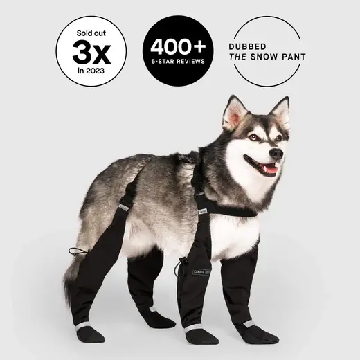 Canada Pooch Suspender Dog Boots- Long - Black