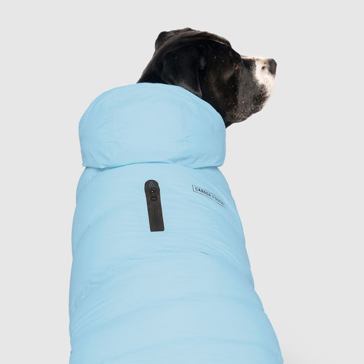 Canada Pooch Waterproof Puffer- Ice Blue