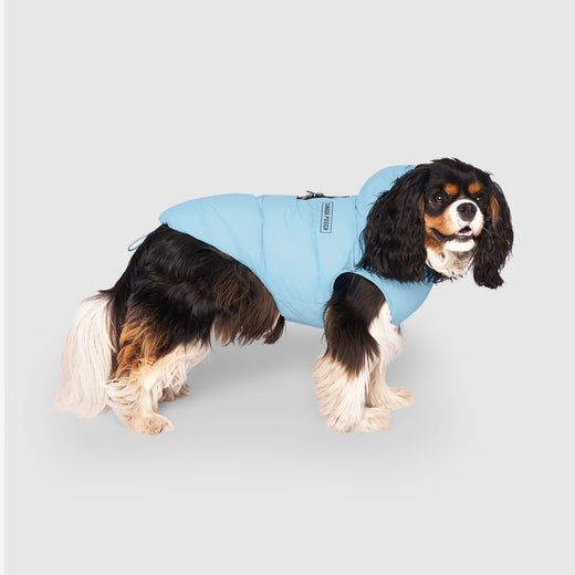 Canada Pooch Waterproof Puffer- Ice Blue