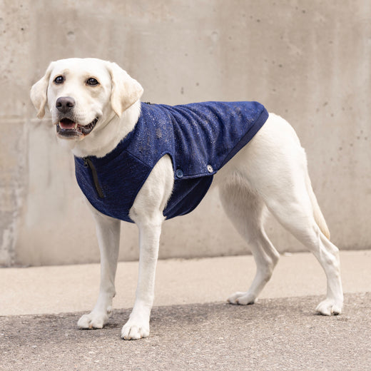 Canada Pooch Waterproof Sweater - Blue