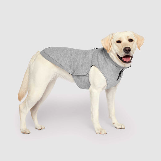 Canada Pooch Waterproof Sweater - Grey