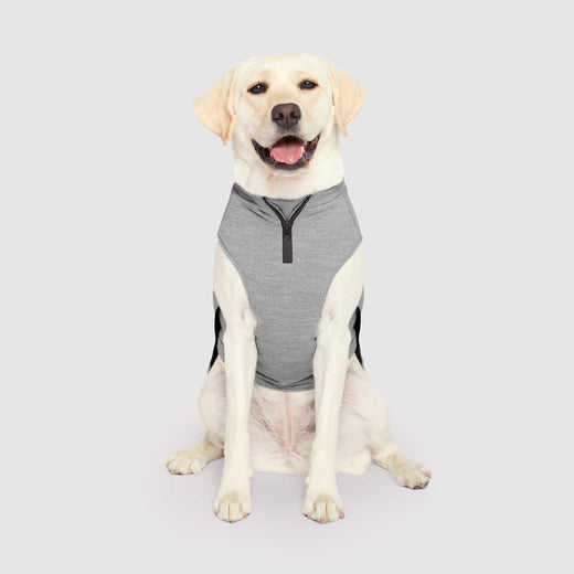 Canada Pooch Waterproof Sweater - Grey