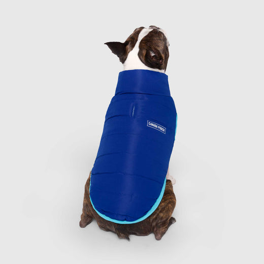 Canada Pooch Reversible Puffer Vest - Blue Teal