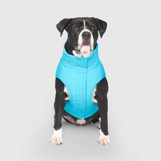 Canada Pooch Reversible Puffer Vest - Blue Teal