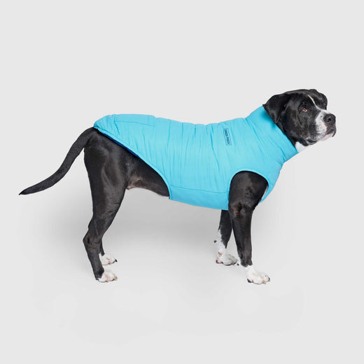 Canada Pooch Reversible Puffer Vest - Blue Teal