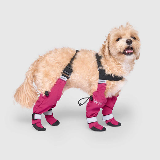 Canada Pooch Suspender Boots - Pink