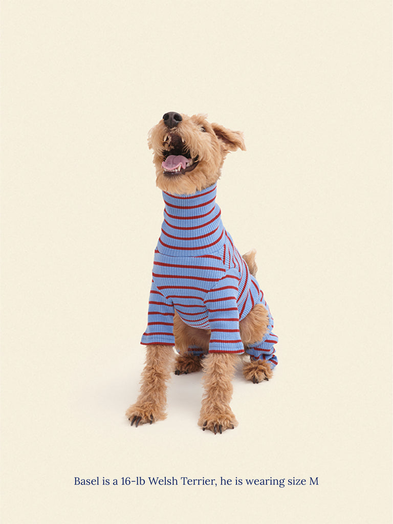 Little Beast Student Loan Onesie