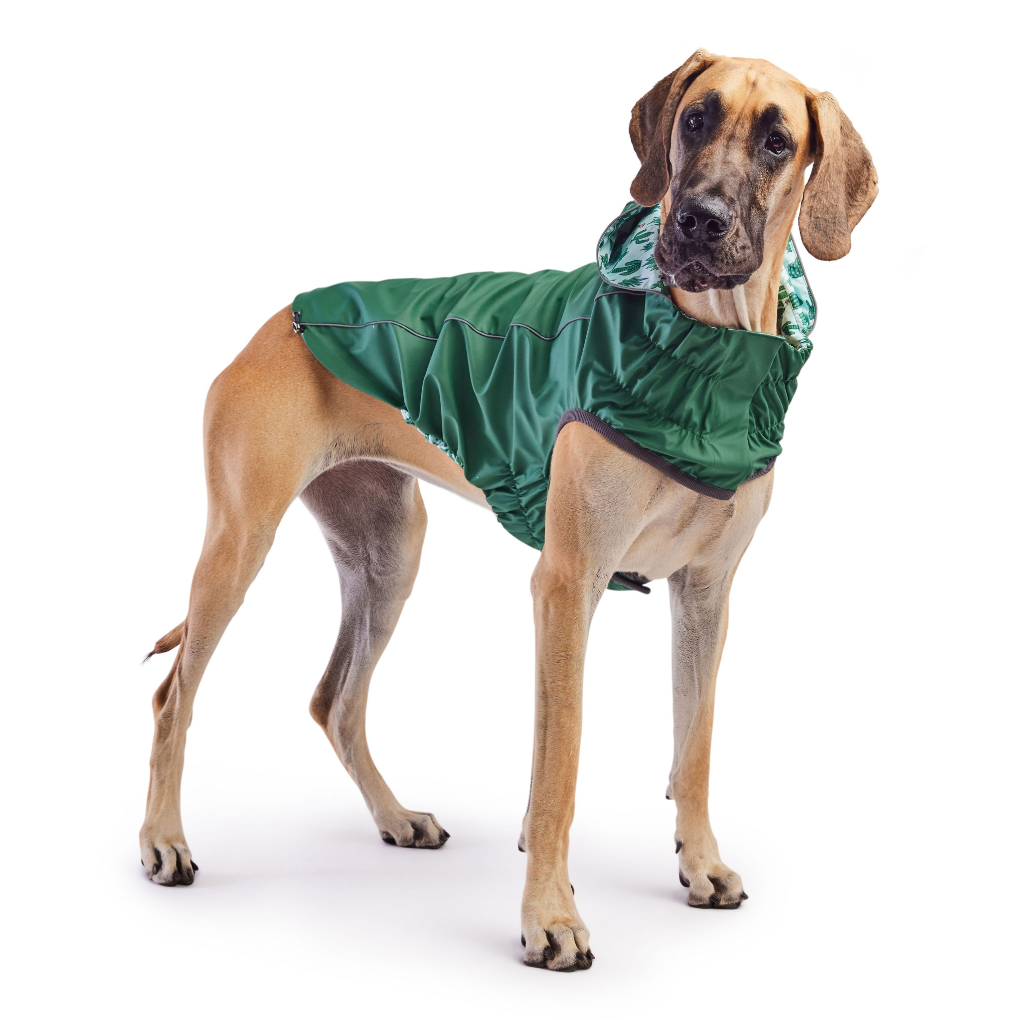 GF Pet Reversible Raincoat