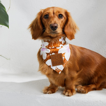 Nice Digs Daisy Dog Bandana Pecan