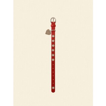 Little Beast Flower Power Collar