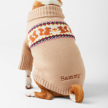 The Foggy Dog Squirrel Dog Sweater