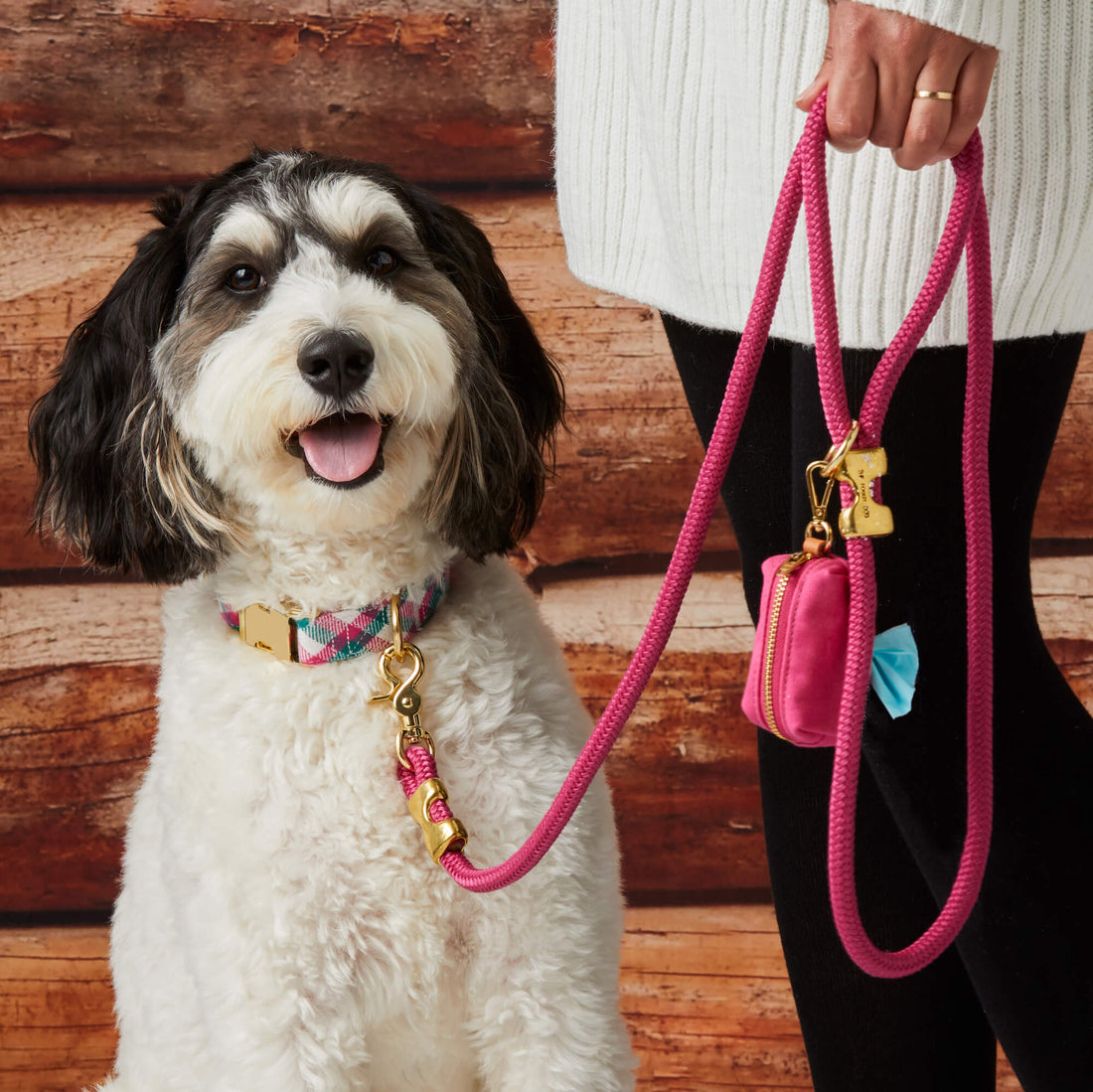 The Foggy Dog Marine Rope Dog Leash