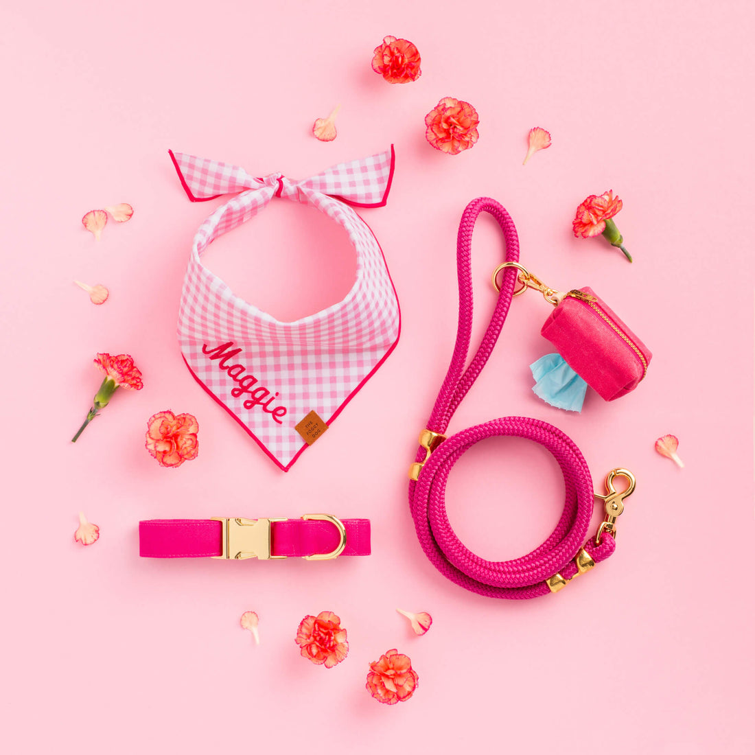 The Foggy Dog The Foggy Dog Collar