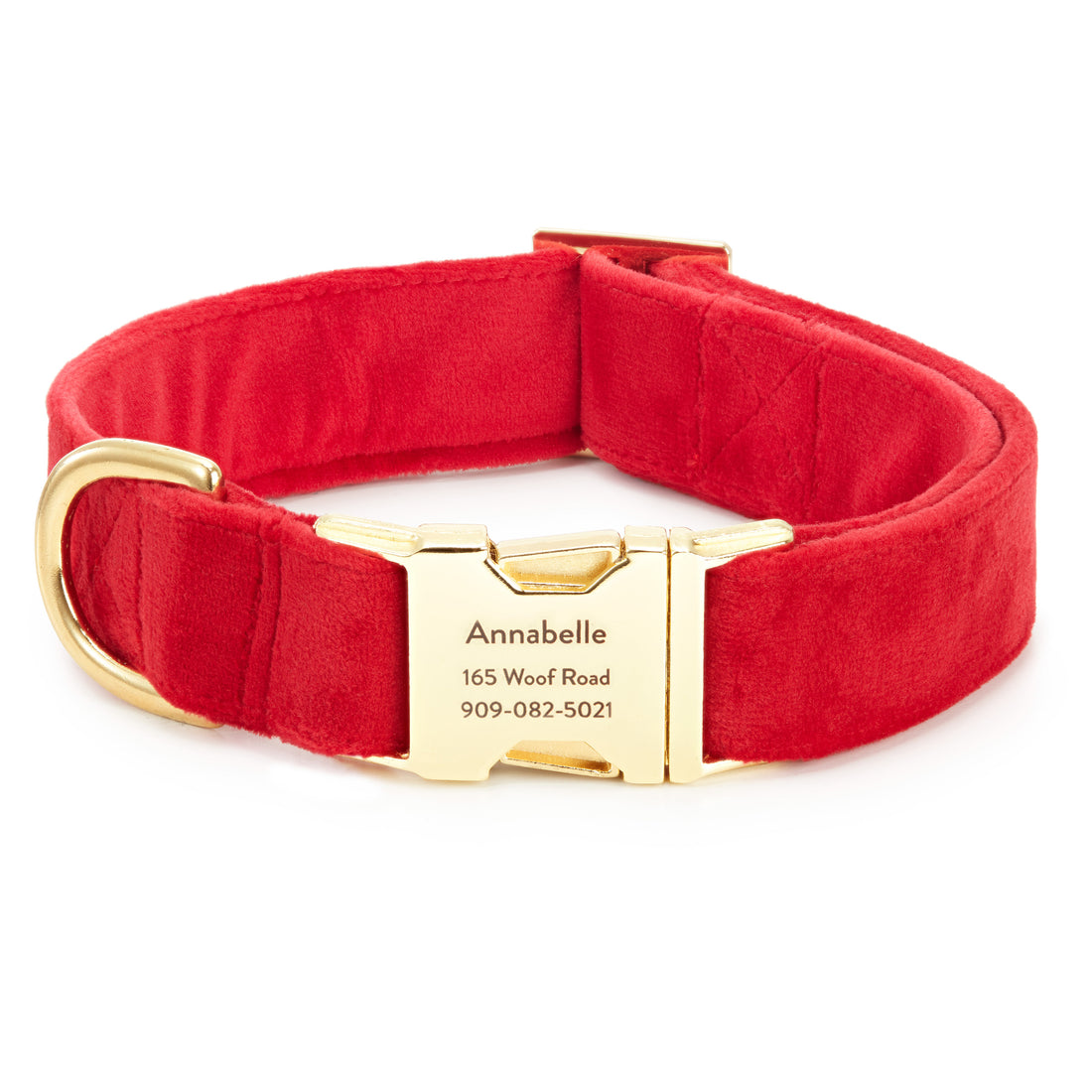 The Foggy Dog Velvet Collar