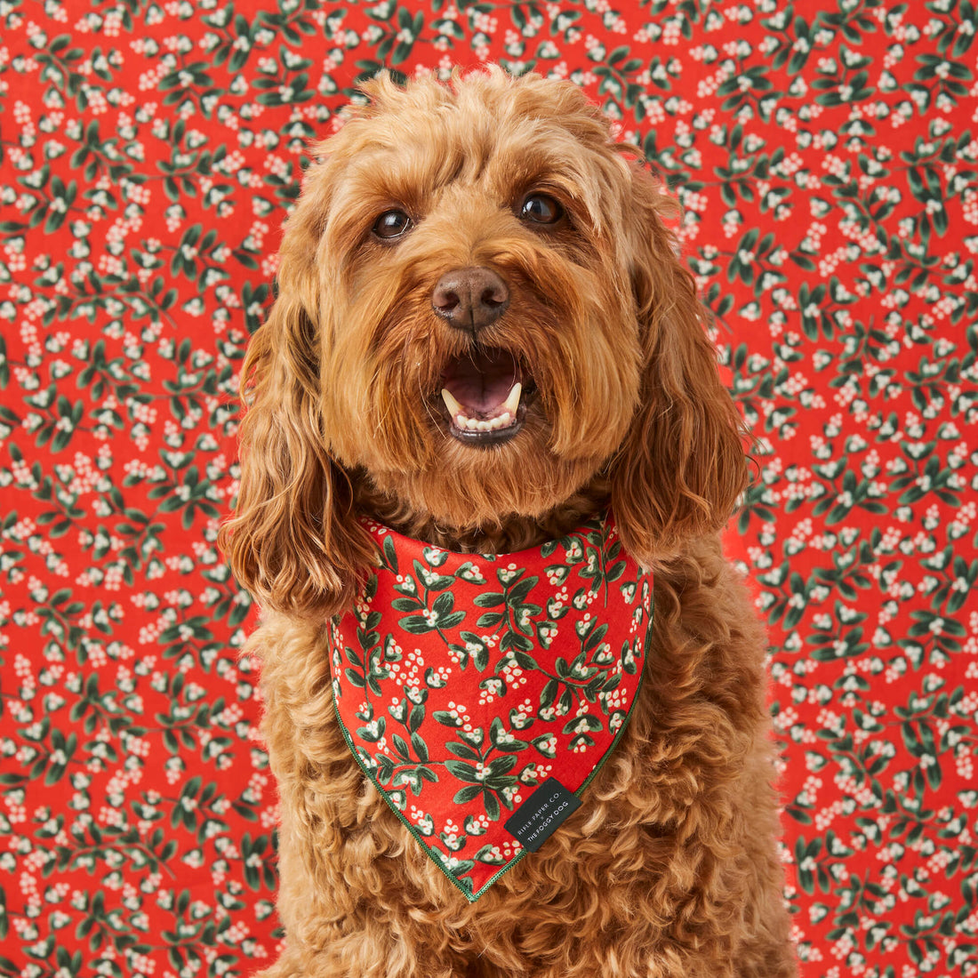The Foggy Dog Mistletoe Dog Bandana