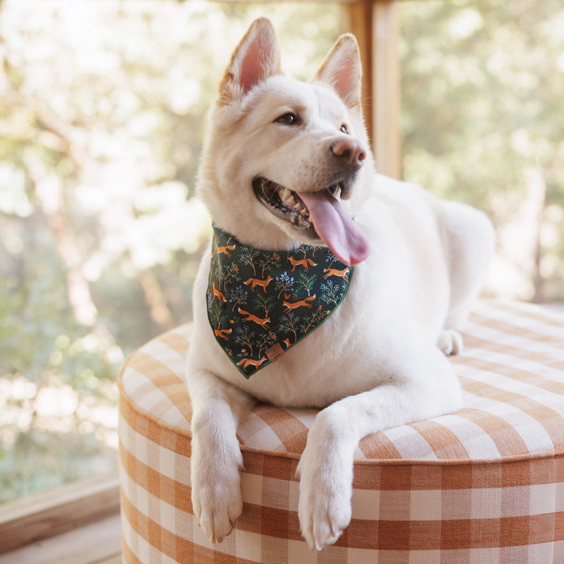 The Foggy Dog Dog Bandana