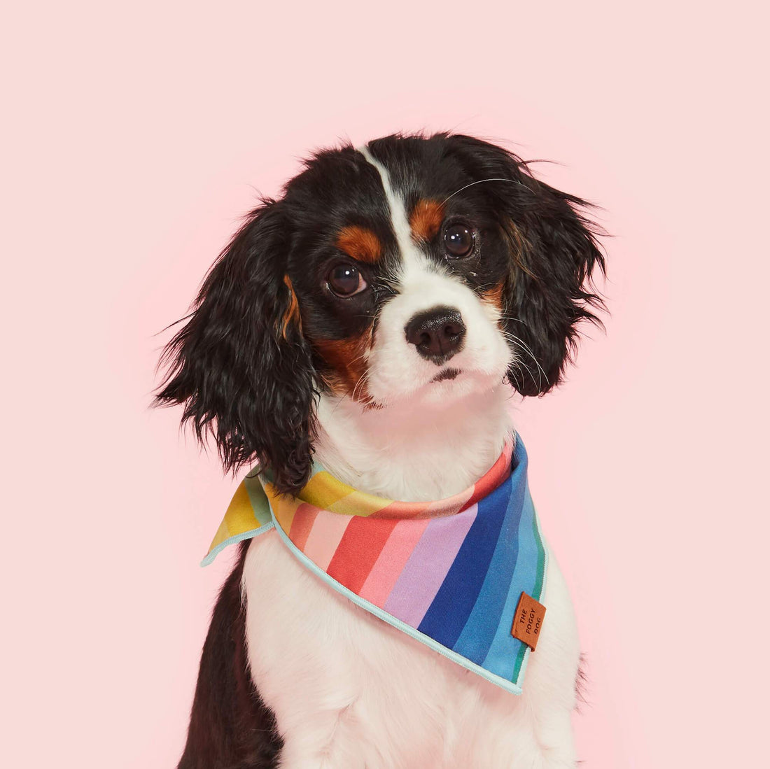 The Foggy Dog Dog Bandana