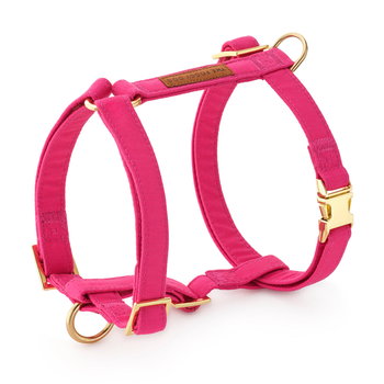 The Foggy Dog The Foggy Dog Harness