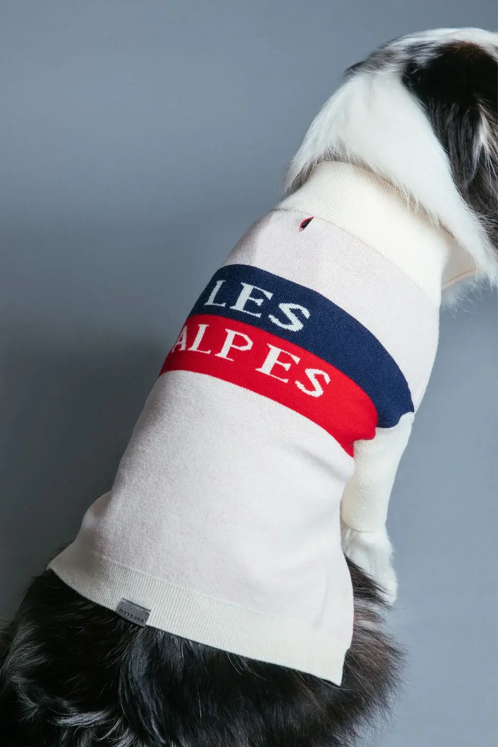 Max-Bone Les Alpes Jumper