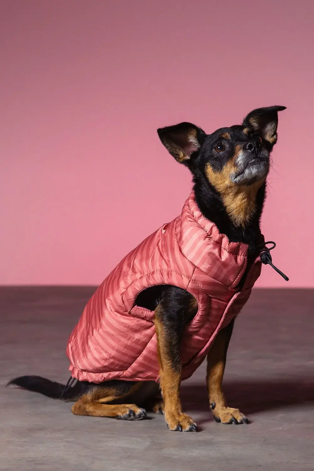 Max-Bone Striped Easy Fit Jacket Rose