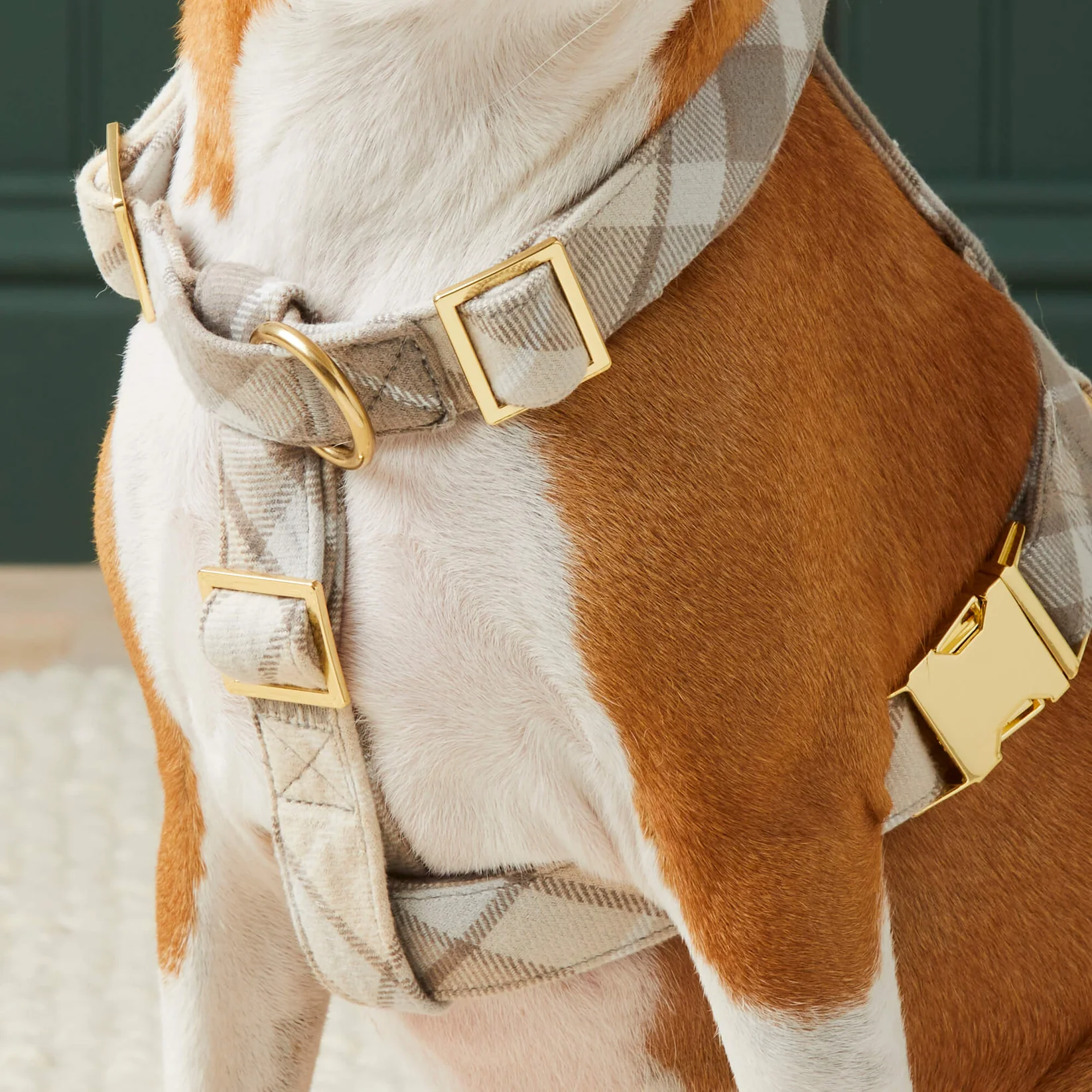 The Foggy Dog Plaid Flannel Dog Harness
