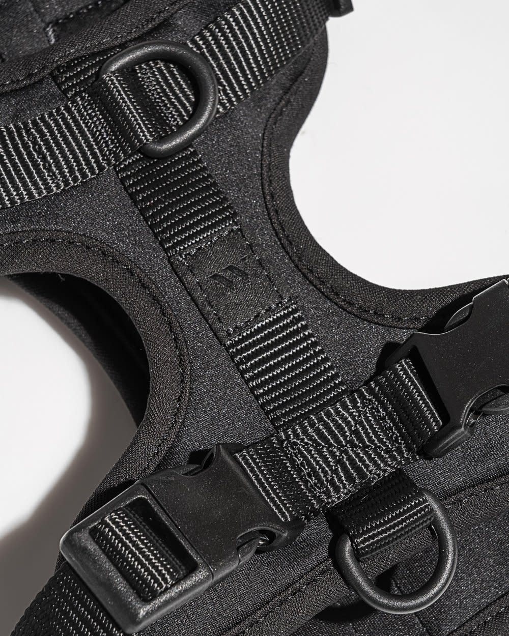 Wild One Harness - Black