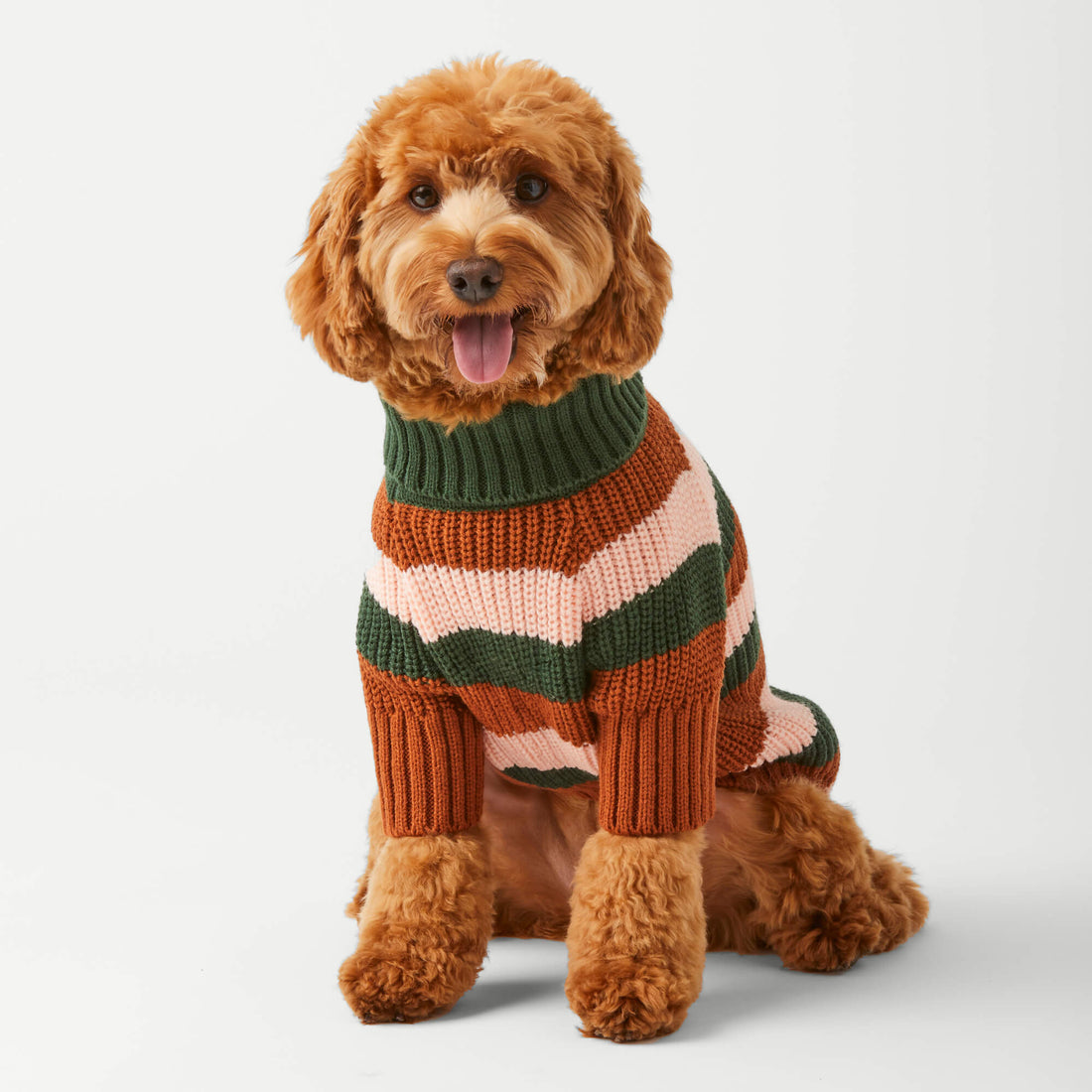 The Foggy Dog Bold Stripe Dog Sweater