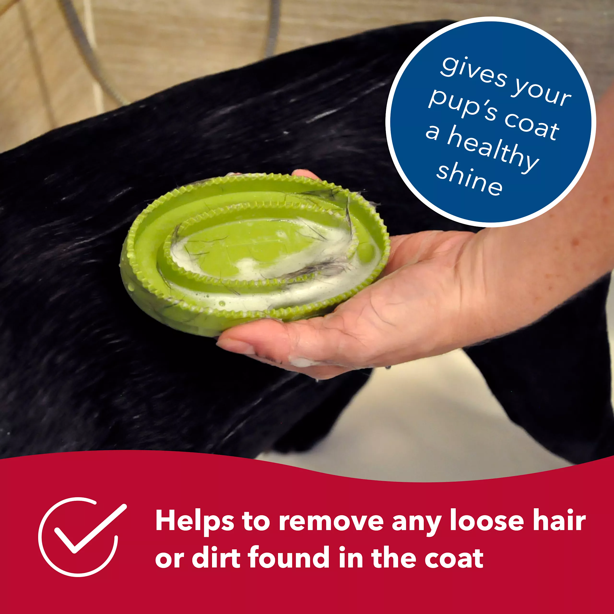 Coastal Pet Products Safari Rubber Cury Dog Brush Dog