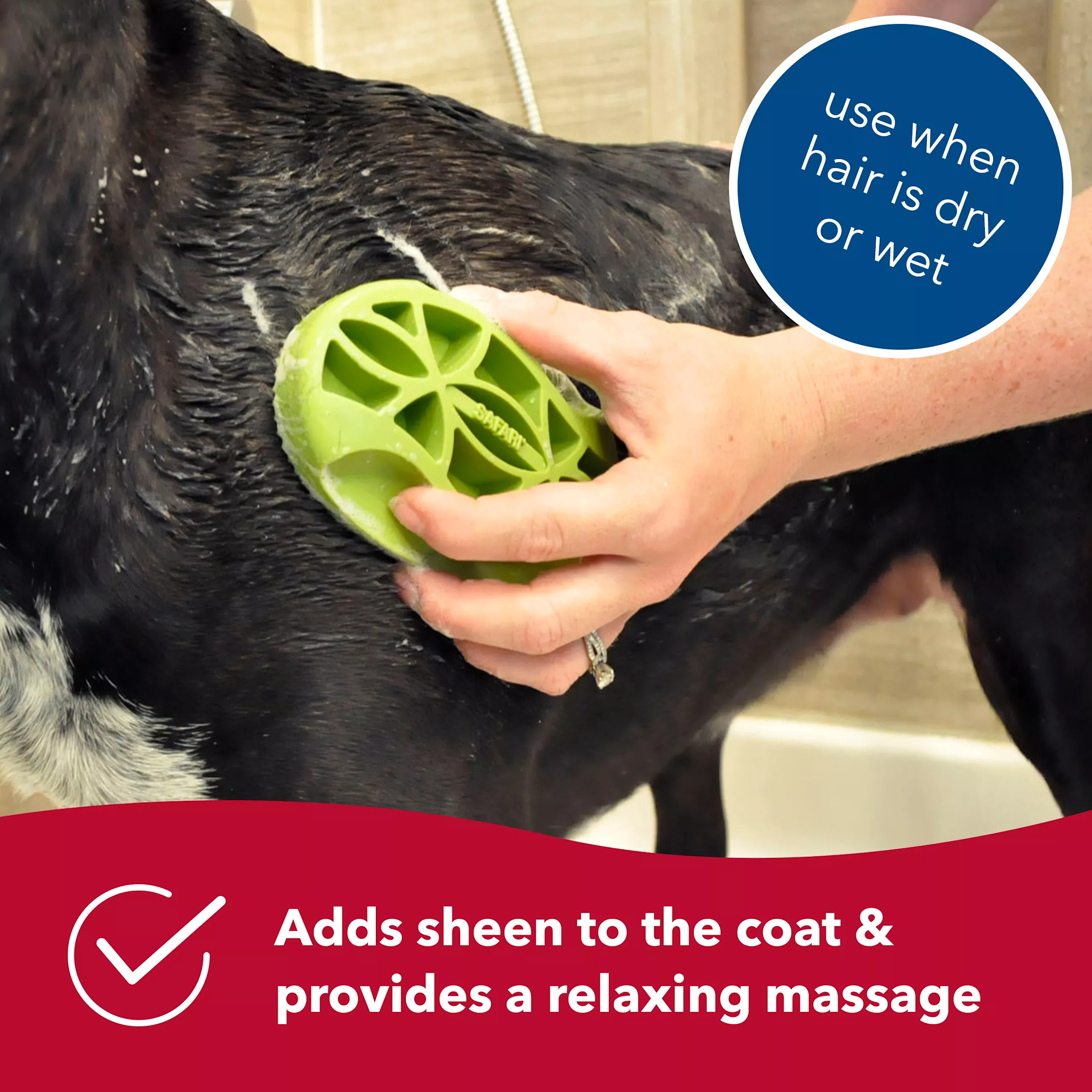 Coastal Pet Products Safari Rubber Cury Dog Brush Dog