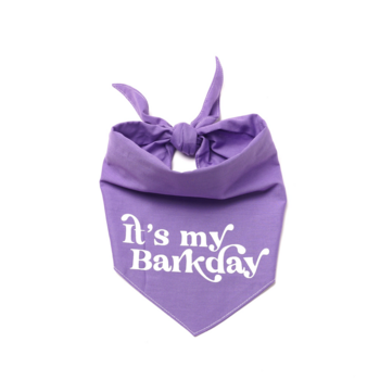 The Paws Barkday dog Bandana