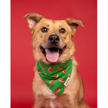 The Paws Defender Dog Bandana