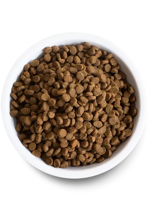 Open Farm Pasture-Raised Lamb Dry Cat Food 2lb