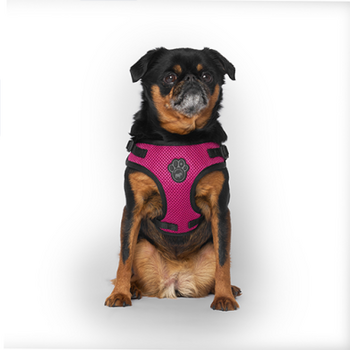 Canada Pooch Easy-on Step In Harness Plum