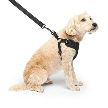 Canada Pooch Easy-on step in harness black