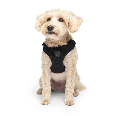 Canada Pooch Easy-on step in harness black