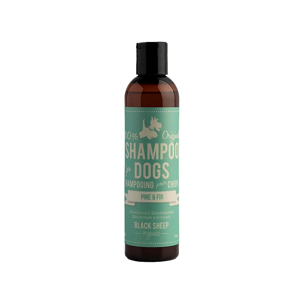 Black Sheep Organics Pine and Fir Organic Shampoo
