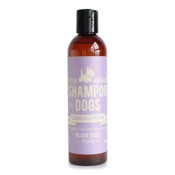 Black Sheep Organics Lavender & Geranium Organic Shampoo – Healing and Soothing 8oz