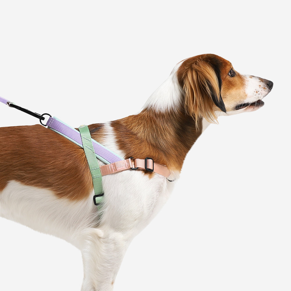 Zee Dog Harness Softer-Walk Peach