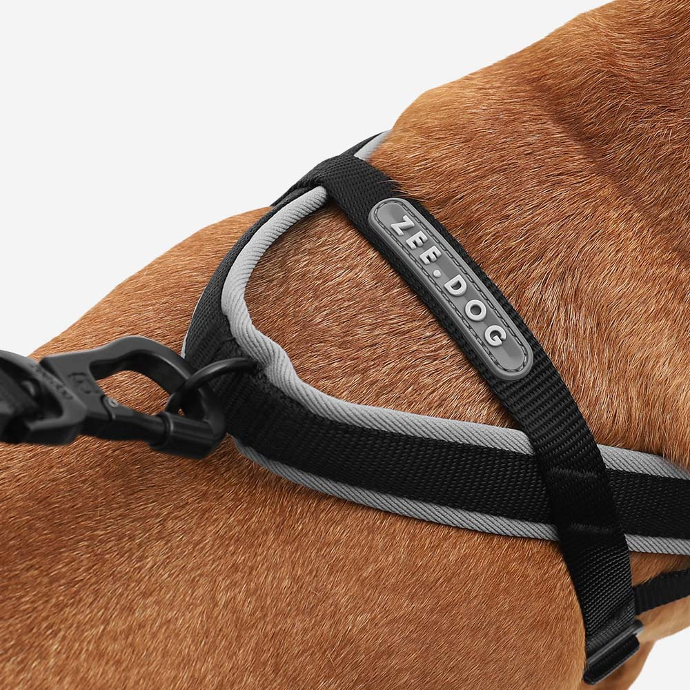 Zee Dog Harness Softer-Walk Gotham