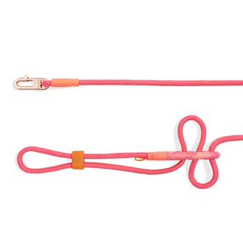 Zee Dog Handsfree Leash Gazelle