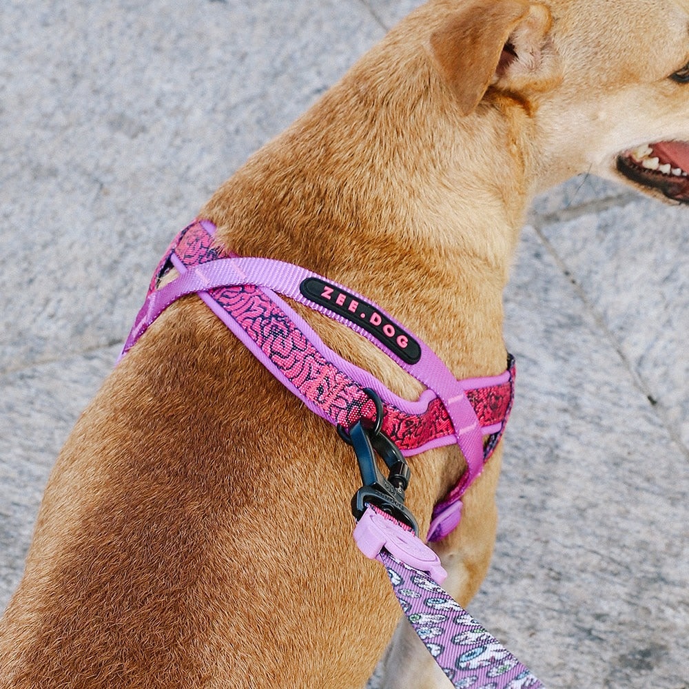 Zee Dog ZeeTown Softer Walk Harness