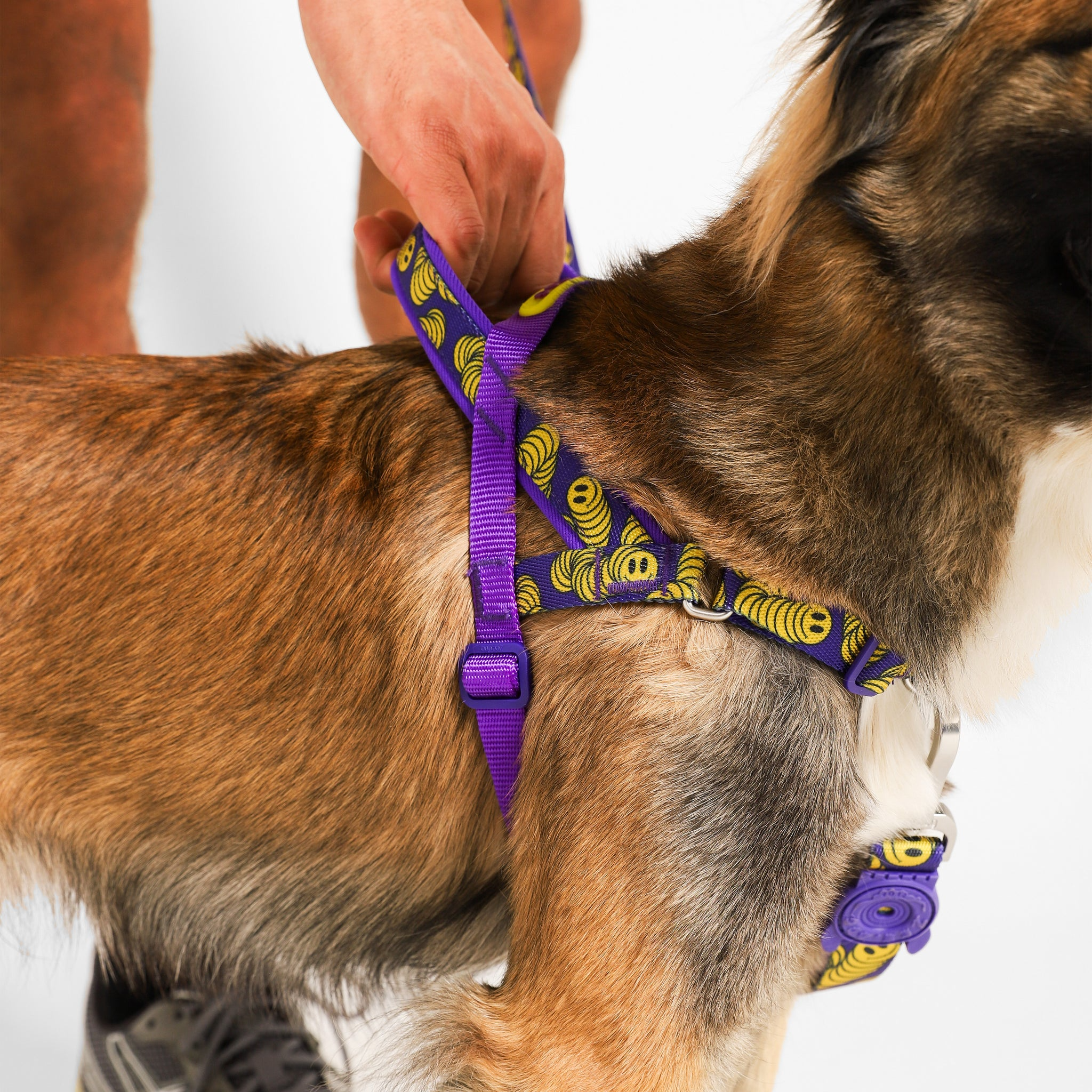 Zee Dog ZeeTown Softer Walk Harness