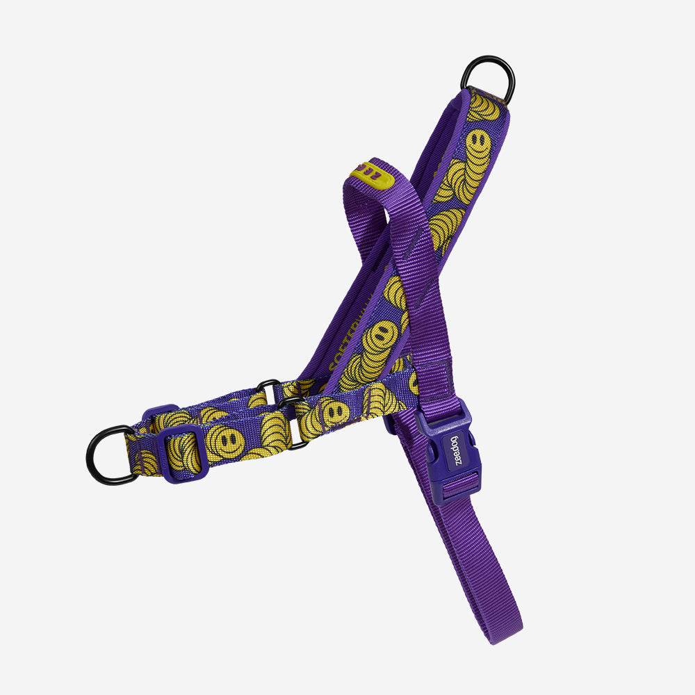 Zee Dog ZeeTown Softer Walk Harness