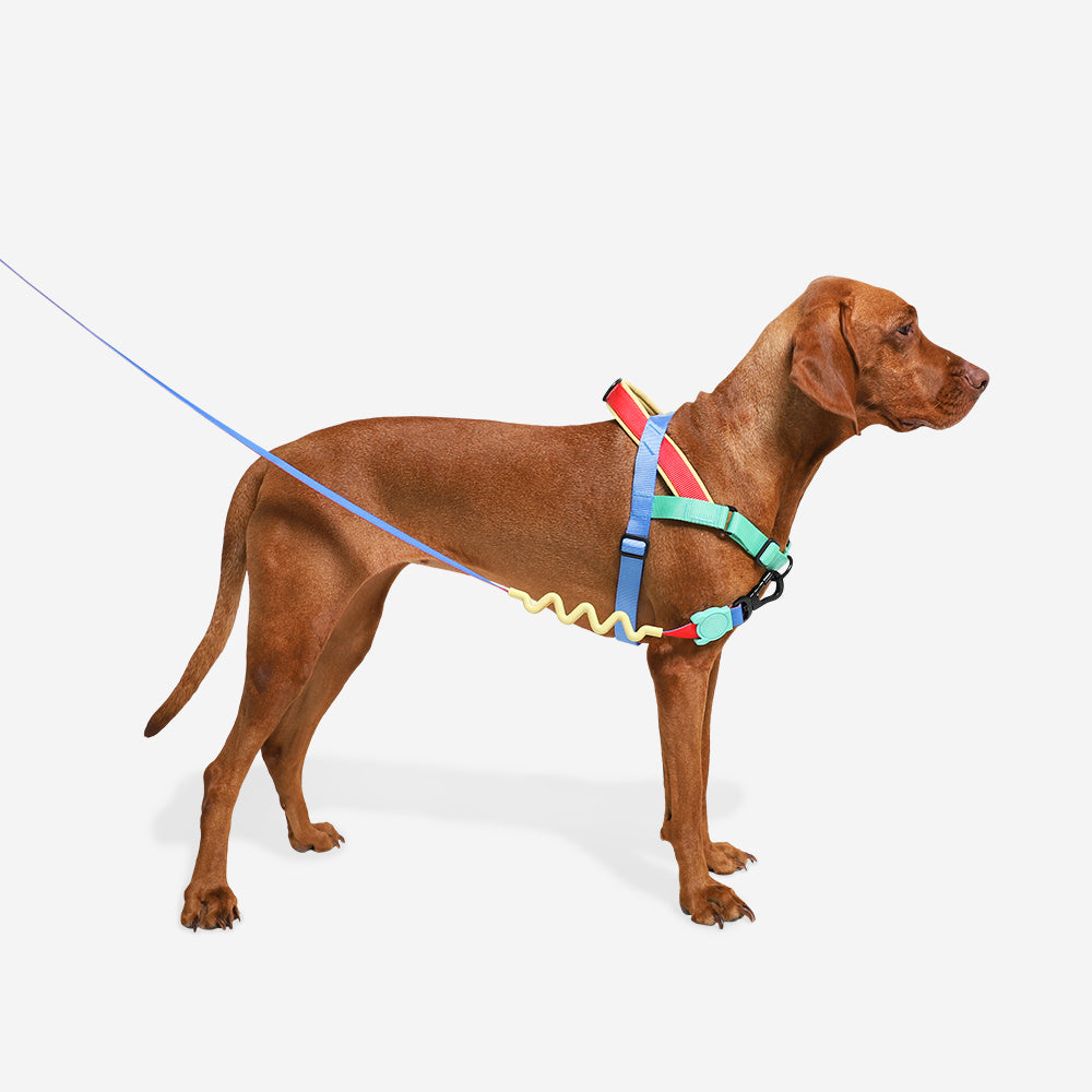 Zee Dog Softerwalk Harness Mellow