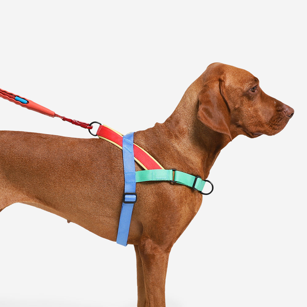 Zee Dog Softerwalk Harness Mellow