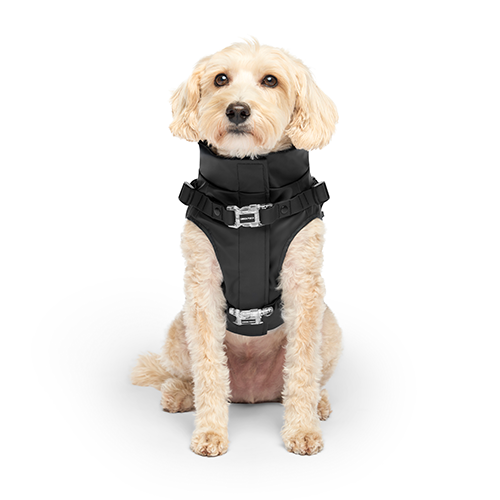 Canada Pooch Harness Raincoat